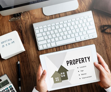 Property and Asset Division